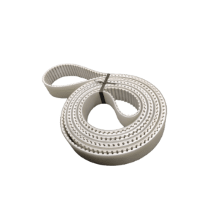 Correia de entrada lapidadora e Biseladora